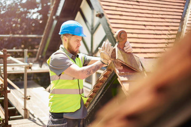 Roof Gutter Cleaning in La Grange, IL